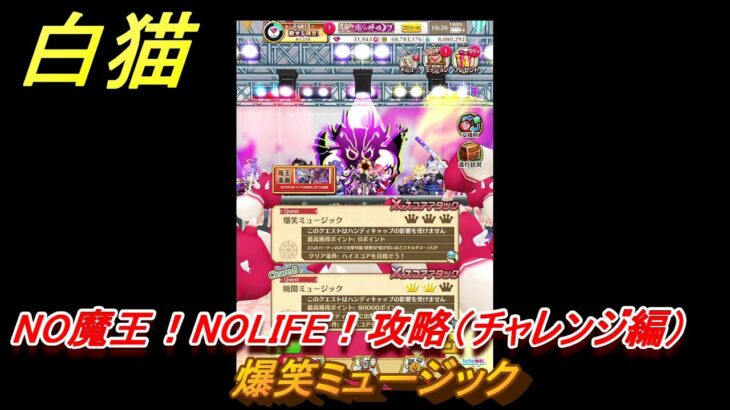 白猫　NO魔王！NOLIFE！攻略（チャレンジ編）　爆笑ミュージック（２倍速）　ガチャキャラ　オスクロル（大剣）セルピナ（双剣）ヴィルフリート（槍）　＃３５　【白猫プロジェクト】