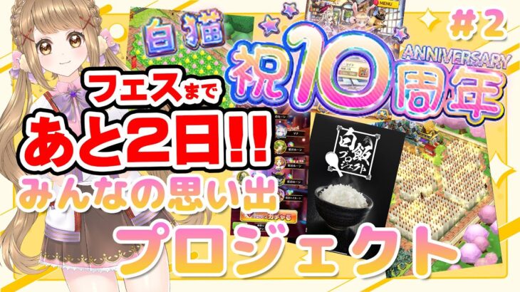 【白猫】フェスまであと2日！10周年の思い出をみんなで振り返るpart２📷✨雑談配信 【白猫プロジェクト NEW WORLD’S】Vtuber 棉飴みぃこ