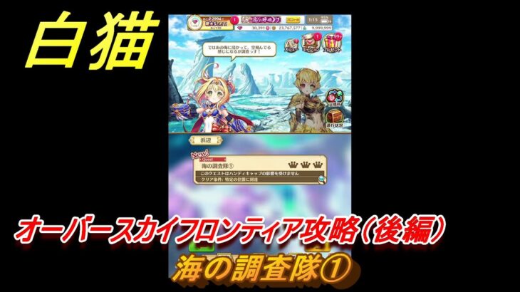 白猫　１０周年イベント　オーバースカイフロンティア攻略（後編）　海の調査隊①　ガチャキャラ　キャトラ（鎖剣）サヤ（輝剣）エレノア（魔）赤髪の解放者（斧）　＃８０　【白猫プロジェクト】