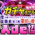 【白猫】ガチャに協力に協力にフロンティアタワーも登れる！？ 色々やる～✨ 白猫10周年【白猫プロジェクト NEW WORLD’S】Vtuber 棉飴みぃこ