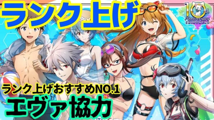 【白猫プロジェクト】エヴァコラボ協力！！残り3日で今から始めるランク上げ【ぼくのなつやすみ】