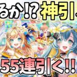 【白猫】(夏の魅惑) 新ガチャを55連引いていく！ (みんな集まれ！海の家！サマーメモリーズ2024)