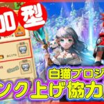 【参加型 白猫プロジェクト】月末まで‼　ひとまず、ランク750目指して協力周回‼　求ム：シルバ＠1 ～白猫プロジェクト NEW WORLD’S【灯赫】