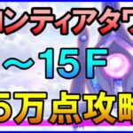 【白猫】フロンティアタワー攻略：Lv500 11～15F 25万点を目指す方法まとめ