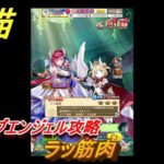 白猫　ナイツオブエンジェル攻略　ラッ筋肉　ガチャキャラ　ルカ(槍)キュア(剣)マール(大剣)　＃２１　【白猫プロジェクト】