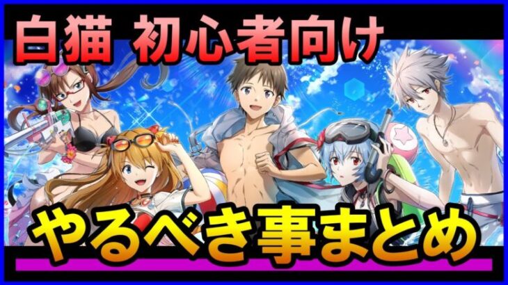 【白猫】エヴァンゲリオンコラボ！初心者さんがやるべき事まとめ、コンプ＆最強に近づける方法やジュエルの稼ぎ方をまとめました。