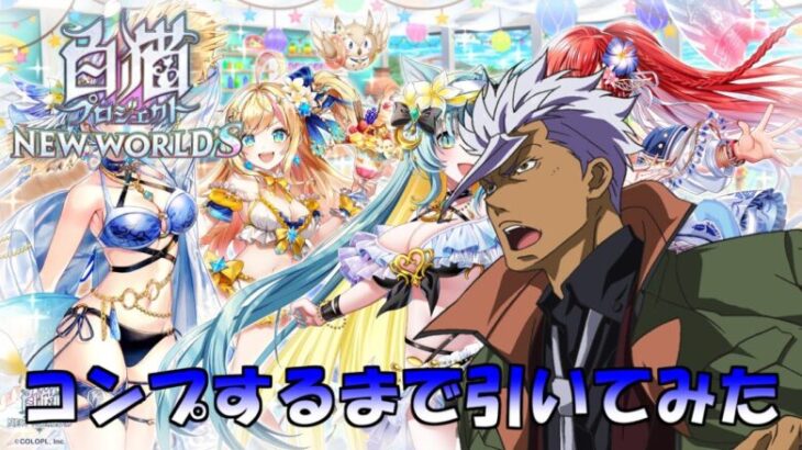 【白猫プロジェクト】みんな集まれ！海の家！サマーメモリーズ２０２４ガチャコンプするまで引いてみた