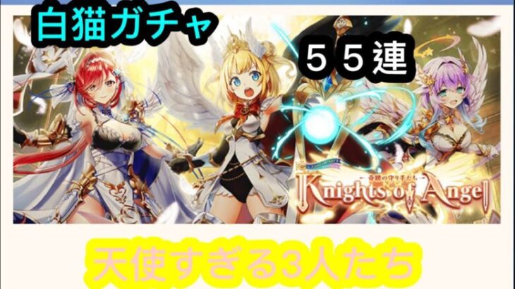 【白猫】「Knights of Angel」ガチャ　行方不明のBGM  そして、まさか一発逆転か…！？