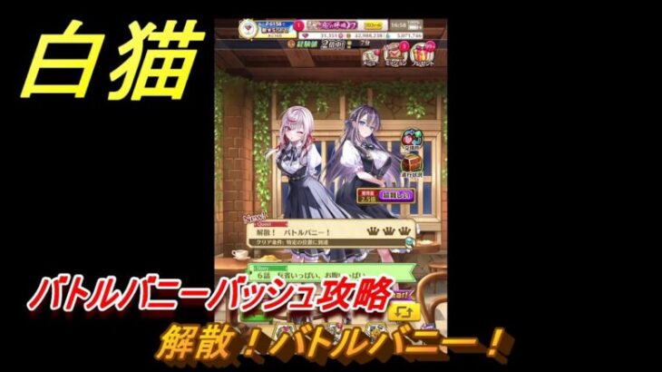 白猫　バトルバニーバッシュ攻略　解散！バトルバニー！　ガチャキャラ　ユノス（斧）ファリエ（魔）　＃１１　【白猫プロジェクト】