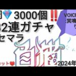 1周132連‼️ 白猫プロジェクト リセマラ ~地獄のノーカットVOICEVOX雑談を添えて~ 初投稿