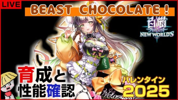 白猫【ライブ配信】バレンタイン2025 キャラの育成＆性能確認【BEAST CHOCOLATE！】