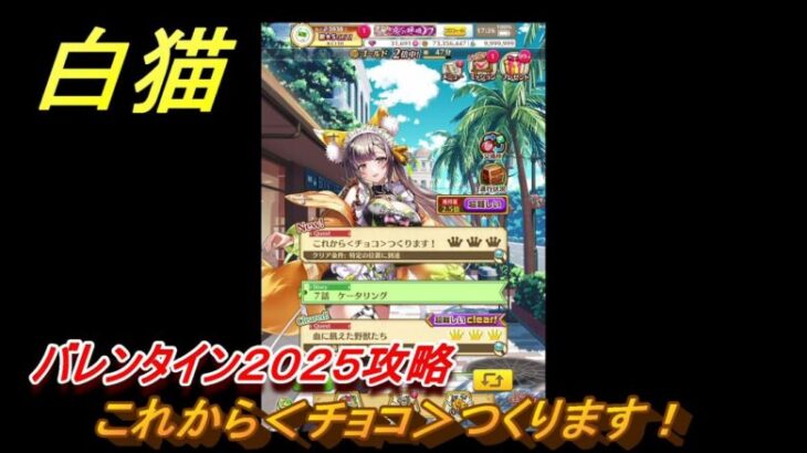 白猫　バレンタイン２０２５攻略　これから＜チョコ＞つくります！　ガチャキャラ　ファリエ（拳）ハルジオン（斧）カスミ（双剣）　＃１２　【白猫プロジェクト】