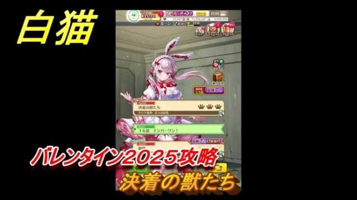 白猫　バレンタイン２０２５攻略　決着の獣たち　ガチャキャラ　ファリエ（拳）ハルジオン（斧）カスミ（双剣）　＃２７　【白猫プロジェクト】