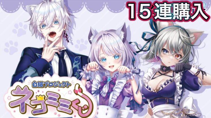 【白猫プロジェクト】マジゲット マジくじ ネコミミくじ2025 購入実況