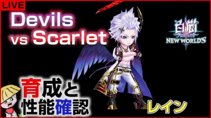 白猫【ライブ配信】Devils vs Scarlet キャラの育成＆性能確認【悪魔vs最強】