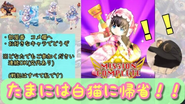 ただいま！　※どなたでも参加どうぞ【白猫プロジェクト・縛り協力】