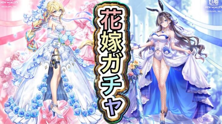【白猫プロジェクト】Whispered Wedding Mission ガチャ 実況【ウィスパードウェディングミッション】