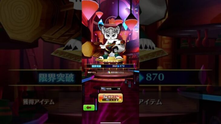 白猫プロジェクト パラメータ調整グランドクラスガチャを引いてみる #白猫プロジェクト