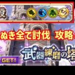 【白猫】武器練磨の塔破 打の段（上級）11周年主人公・アイリス・ゼロキスで虹たぬきを全討伐！攻略＆解説、最後は衝撃の武器スロット！これが出たら激熱！