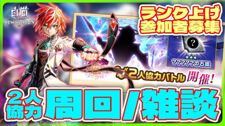 【白猫プロジェクト】ホロライブコラボ開催決定‼　雑談しつつ2人協力回してランク上げ　白猫プロジェクト NEW WORLD’S【灯赫】
