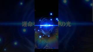 【白猫】新登場★5キャラ確定ガチャ　アイリス