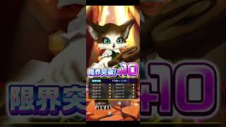 【OVERSKY：FRONTIER】7/27広告分 #白猫プロジェクト