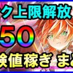 【白猫】ランク上限解放950向け、経験値稼ぎの方法をまとめました（初心者さん向け解説＆攻略）