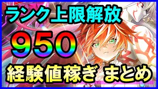 【白猫】ランク上限解放950向け、経験値稼ぎの方法をまとめました（初心者さん向け解説＆攻略）