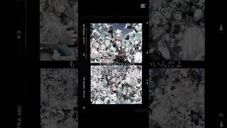 白猫プロジェクト #cover