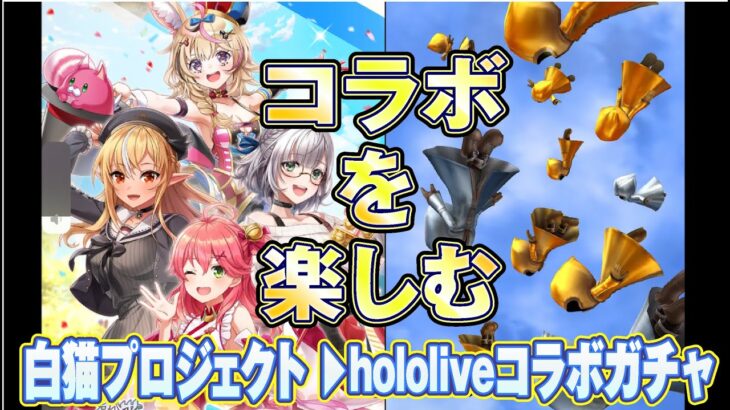 【hololiveコラボ】白猫のコラボはひける内にひけ！【白猫プロジェクト】