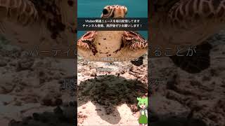 “ソアラのおすすめ武器と評価！最強ランキングも紹介！”