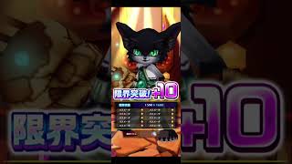 【エンドレス サマーデイズ】9/27広告分 #白猫プロジェクト