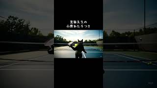 黒猫テニス教室　#ai #cat #猫 #オッドアイの白猫