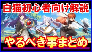 【白猫】葬送のフリーレンコラボ！初心者さん向け攻略＆解説、コンプ目的やすぐに最強に近づける方法・ジュエルの稼ぎ方など絶対に損したくない人向けにまとめました。