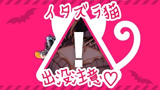 【白猫プロジェクト】もう、、イタズラされてもいい、、、！！！【ハロウィン】