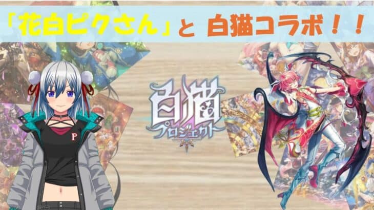 【白猫：配信10/27】今宵、『花白ピクさん』と白猫コラボします！