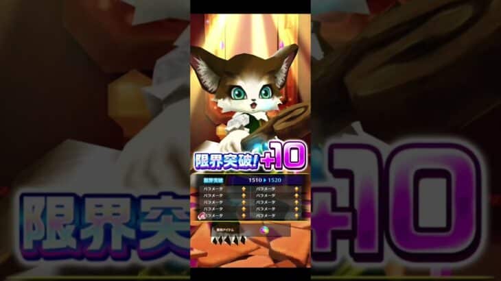 【魔法少女まどかマギカプロジェクト】11/8コラボ無料分 #白猫プロジェクト #魔法少女まどかマギカ #魔法少女まどかマギカコラボ