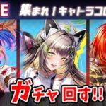 【白猫】速度上限+60％に解放！「集まれ！キャトラコロシアム」確定ガチャ回す+お試し検証！【実況・ライブ】