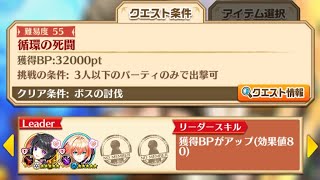 【白猫】 剣アリーゼ､１０章リネア ★５５ 循環の死闘 ソロ