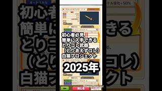 誰でも簡単に入手できる優秀な武器‼️初心者おすすめ【白猫プロジェクト】