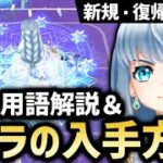 【新規・復帰向け】意外と忘れるあの用語ってどんな意味だっけ？＆キャラの集め方【白猫テニス】