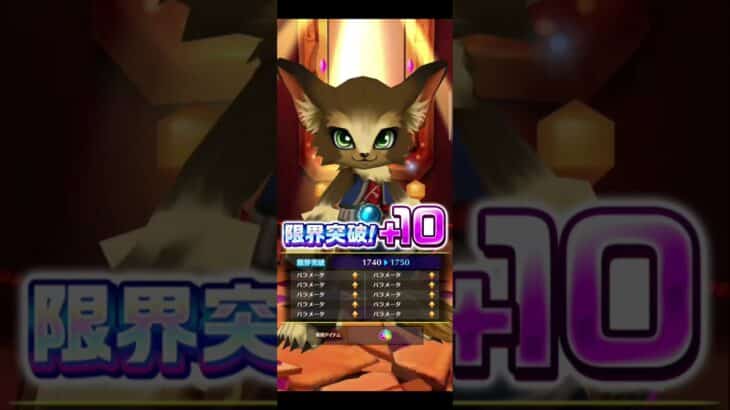 【リコリスリコイルコラボ】12/25コラボ無料分 #白猫プロジェクト #リコリスリコイルコラボ #リコリスリコイル