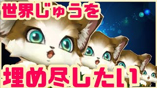 【白猫プロジェクト】1/6の夢旅猫【闘覇祭ランカーつかまえた】