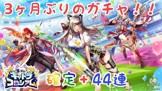 【白猫プロジェクト】3ヶ月ぶりのガチャ！！キャトラコロシアム！確定+44連勝負！！