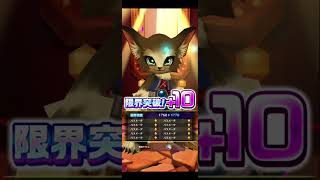 【Secret Christmas Night】12/26広告分 #白猫プロジェクト