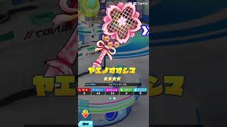 白猫テニス最初のガチャ