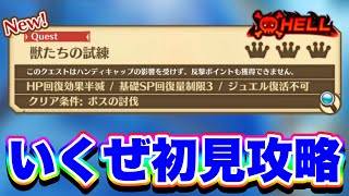 【激ムズ？】神域11章のHELLを初見攻略頑張ってみた！【白猫プロジェクト】