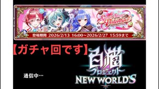 【白猫PNW】(ガチャ回です)久しぶりの白猫です。ガチャを引いて見よう。結果は？(´・ω・｀)？
