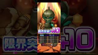 【EVANGELIONコラボ】8/20広告分 #白猫プロジェクト #EVANGELIONコラボ