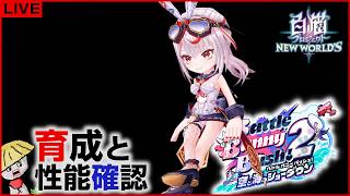 白猫【ライブ配信】Battle Bunny Bash!2 キャラの育成＆性能確認【-空と海のショーダウン-】